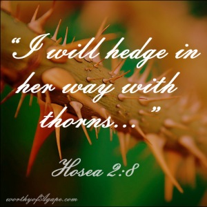 hosea2.8 hedged in with thorns